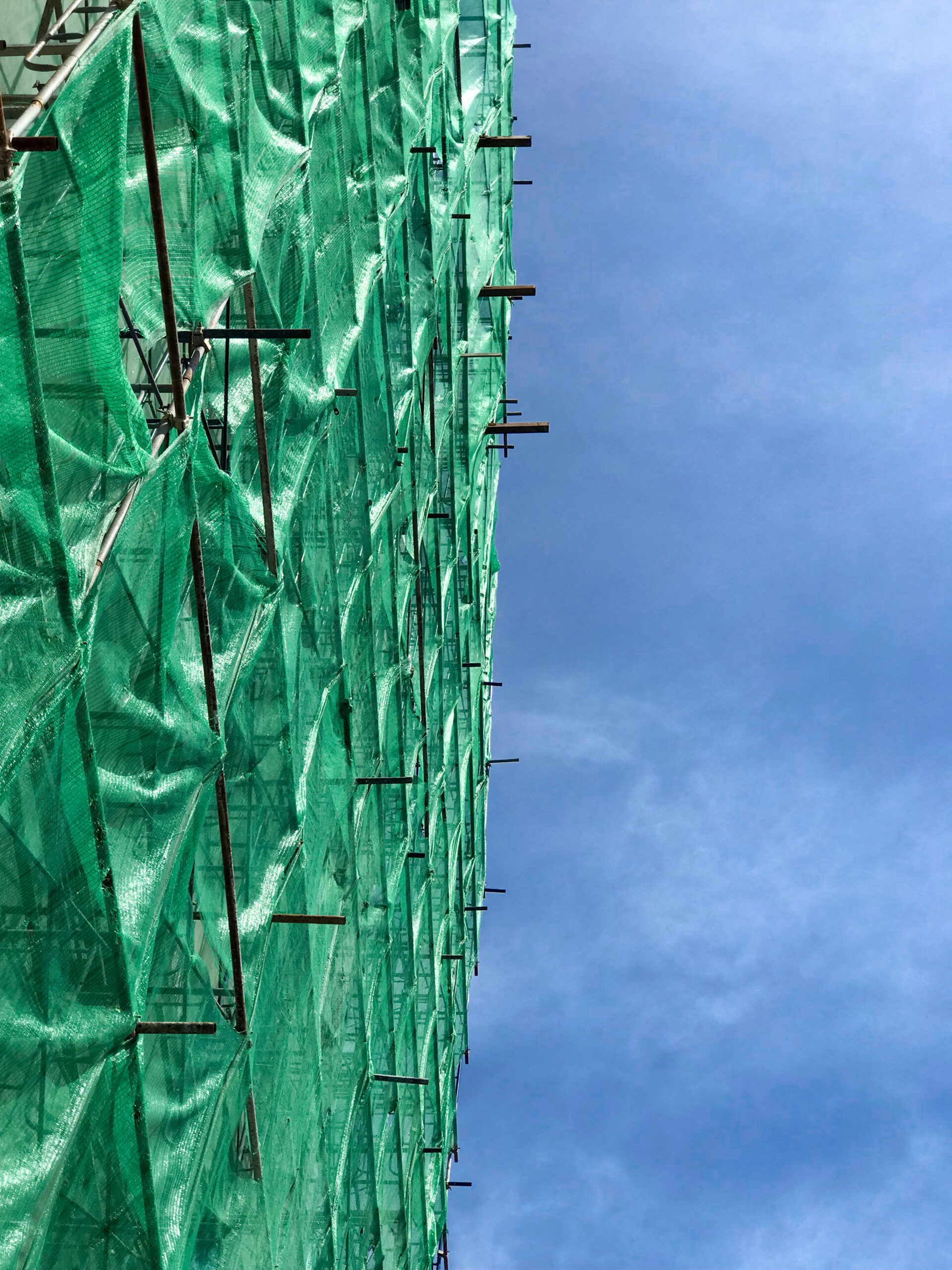 low-angle-view-plants-against-blue-sky